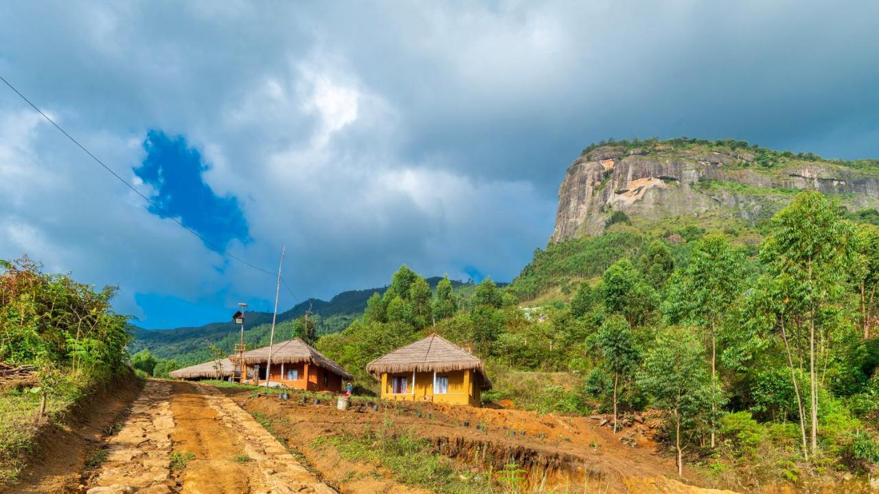 Food Forest Kanthalloor